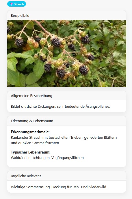 Beispiel einer jagdlich relevanten Pflanze